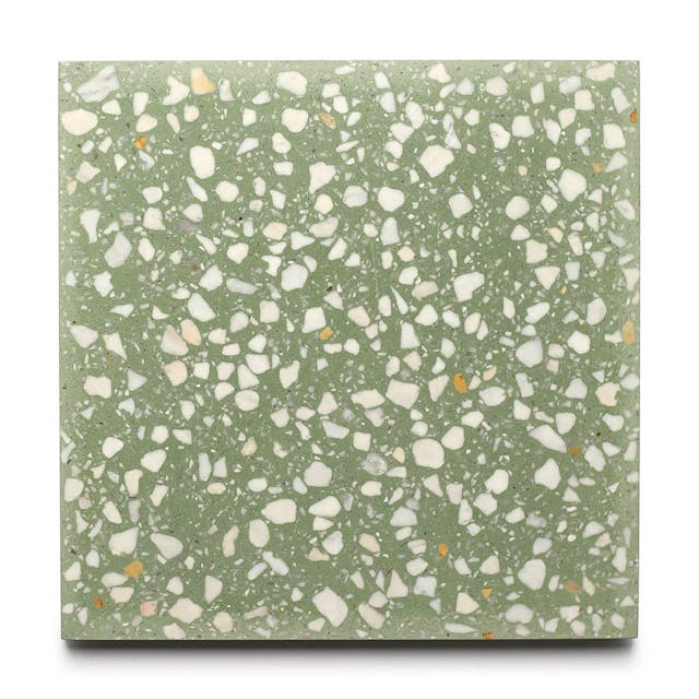 Mesquite 12x12 - Featured products Terrazzo Tile Product list
