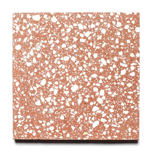 Red Rocks 12x12 - Featured products Terrazzo Tile Product list
