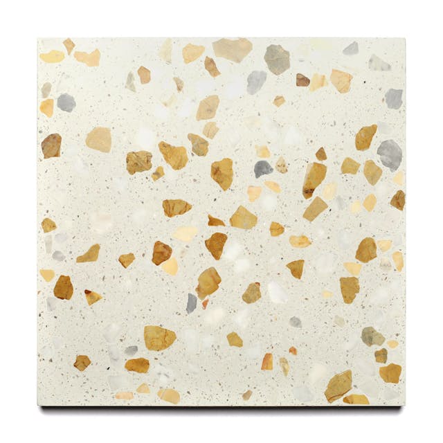 Tamarisk 12x12 - Featured products Terrazzo Tile Product list