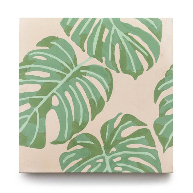 Monstera 8x8 - Featured products Cement Tile: 8x8 Square Patterned Product list