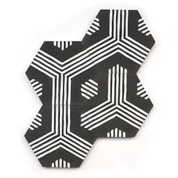 Echo Charcoal Hex - Product page image carousel thumbnail 1