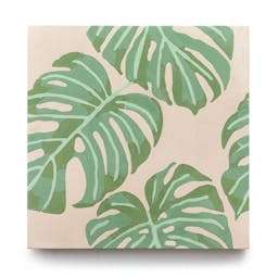 Monstera 8x8 - Product page image carousel thumbnail 1